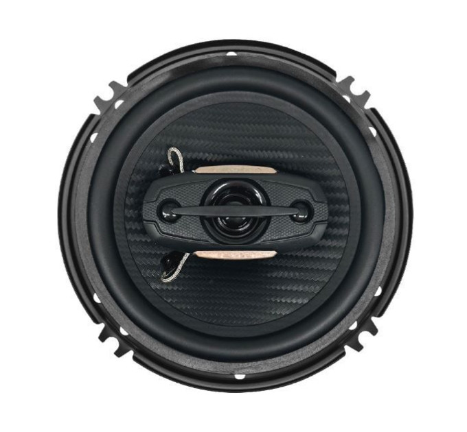 Акустика Celsior CS-16DJ