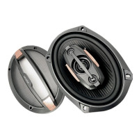 Акустика Celsior CS-693DJ