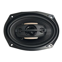 Акустика Celsior CS-693DJ Акустика Celsior CS-693DJ