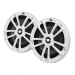 Морська акустика JBL MARINE STAGE 6 WHITE