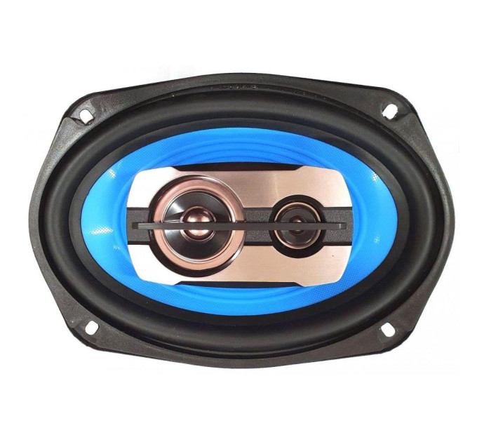 Акустика Celsior CS-6931P
