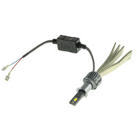 Світлодіодні лампи Cyclone LED H3 6000K type 36