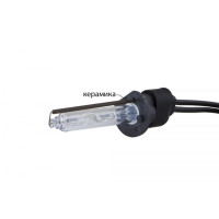 Комплект ксенону Infolight Expert Pro CANBUS H1 5000K +50% Комплект ксенону Infolight Expert Pro CANBUS H1 5000K +50%
